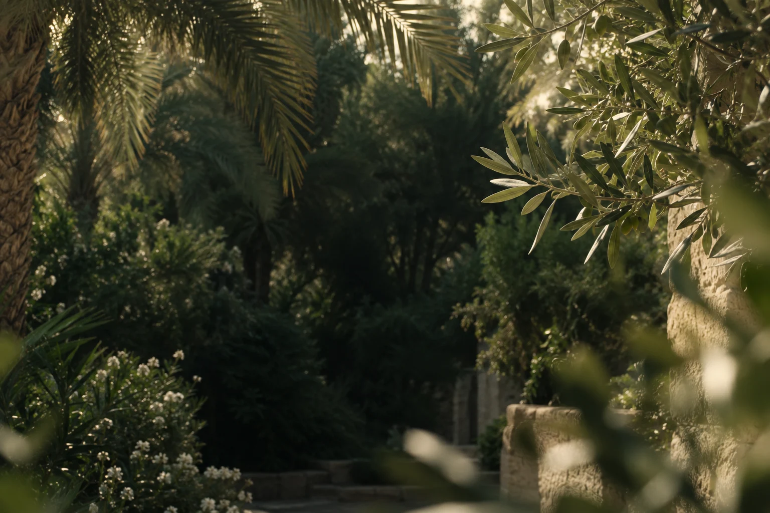 Sunlight falling through green leaves